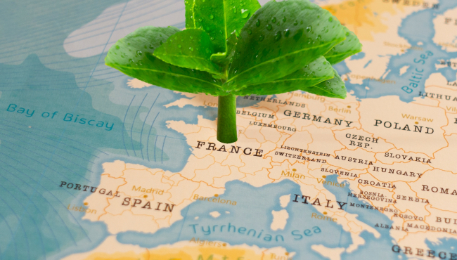 Foto: Shutterstock